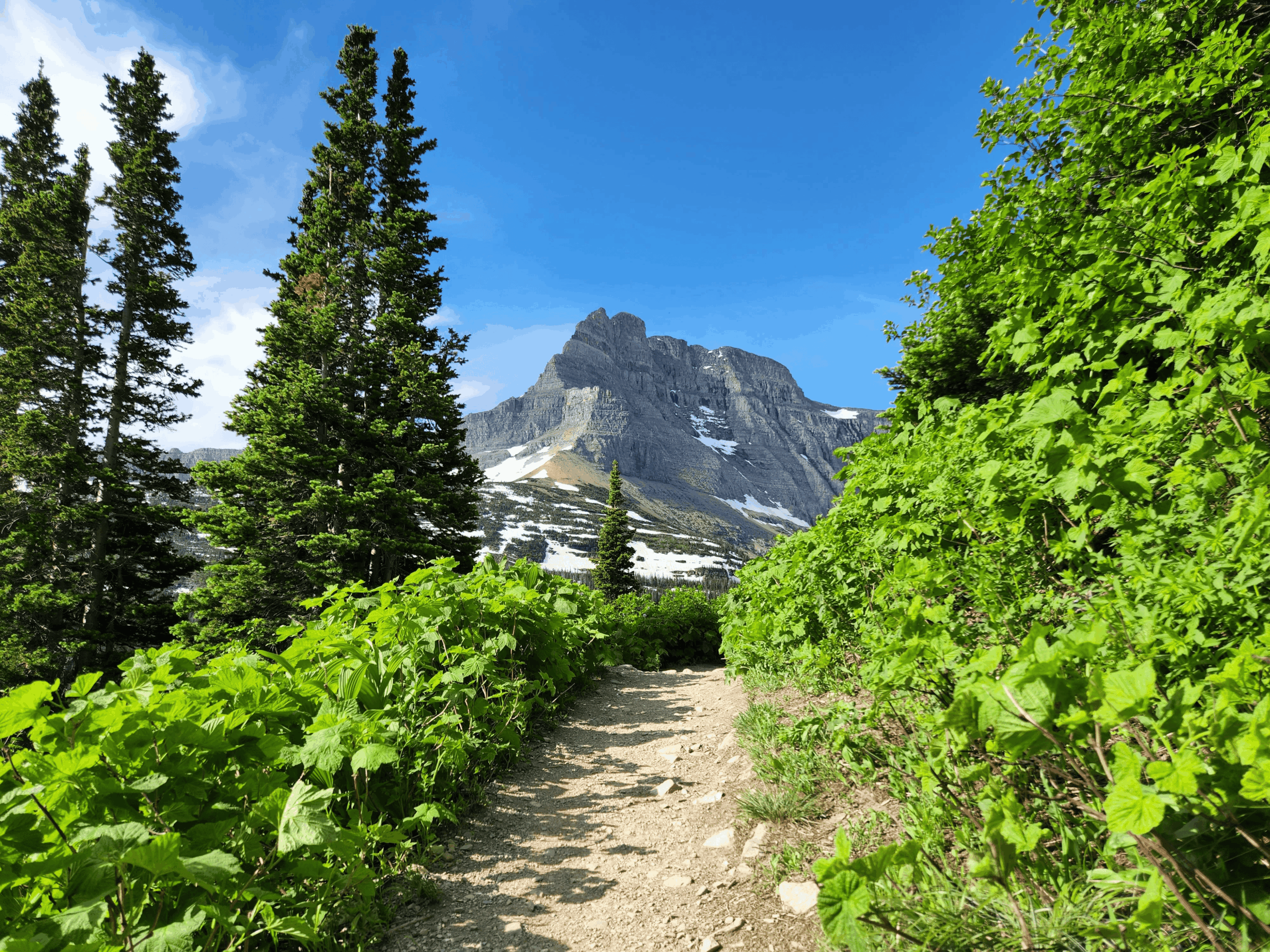 Parcours de transformation consciente