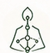 icone human design